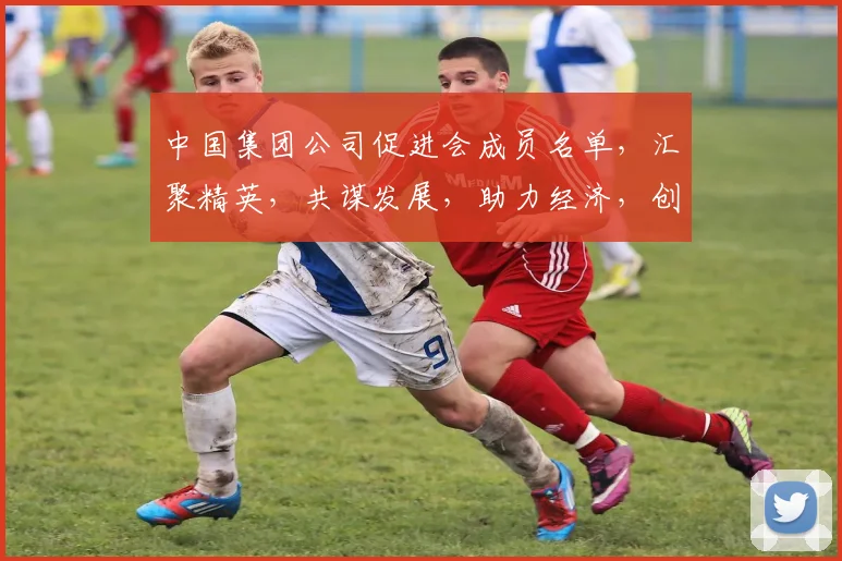中国集团公司促进会成员名单，汇聚精英，共谋发展，助力经济，创新未来，三足鼎立，共创辉煌。