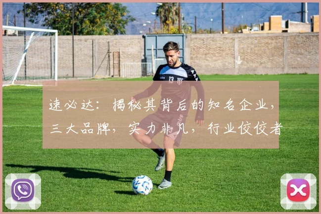 速必达：揭秘其背后的知名企业，三大品牌，实力非凡，行业佼佼者，引领潮流。