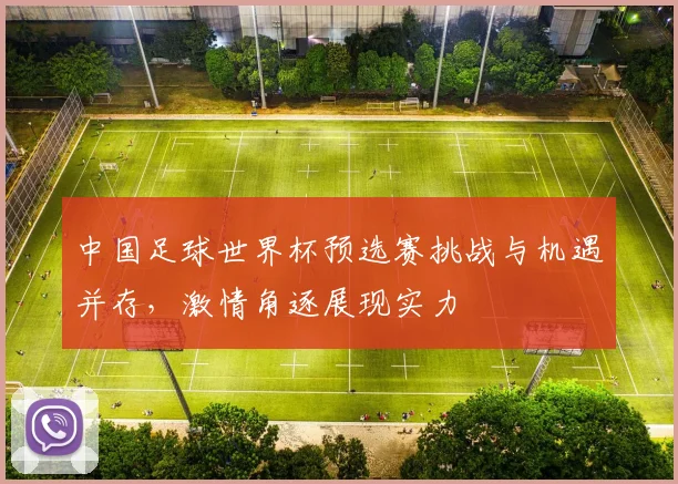 中国足球世界杯预选赛挑战与机遇并存，激情角逐展现实力