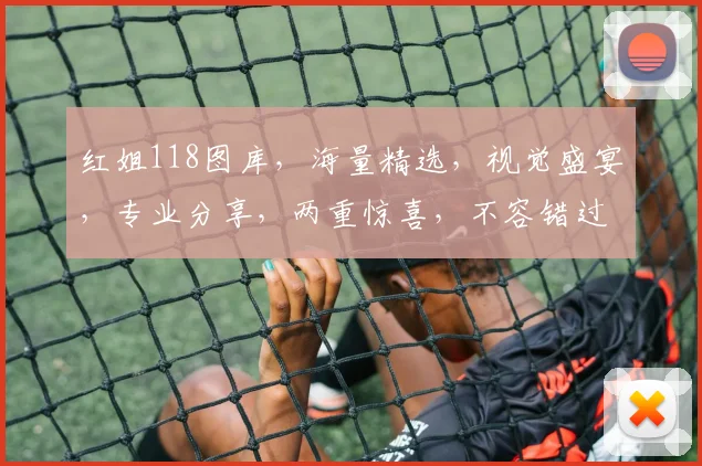 红姐118图库，海量精选，视觉盛宴，专业分享，两重惊喜，不容错过