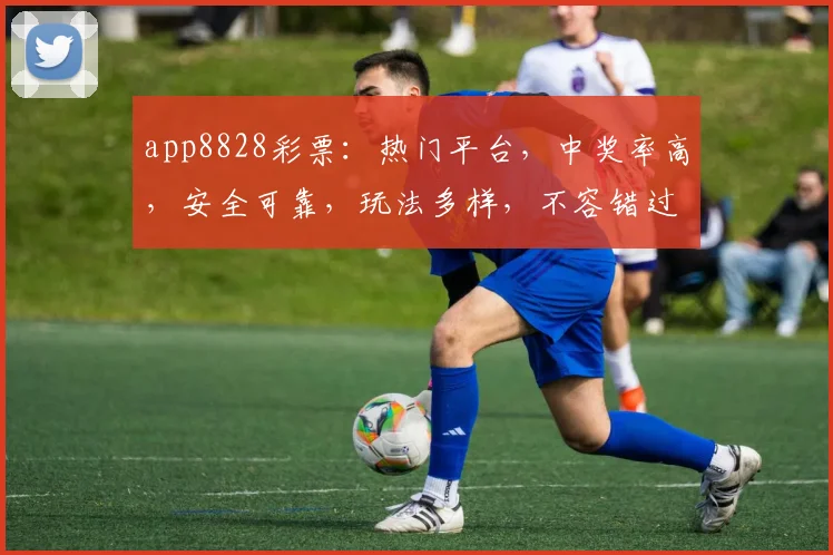 app8828彩票：热门平台，中奖率高，安全可靠，玩法多样，不容错过